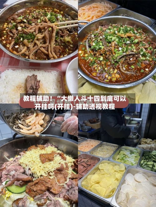 教程辅助!“大懒人斗十四到底可以开挂吗(开挂)-辅助透视教程-第3张图片