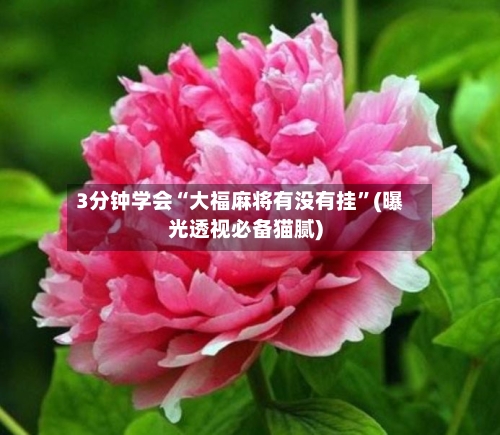 3分钟学会“大福麻将有没有挂”(曝光透视必备猫腻)