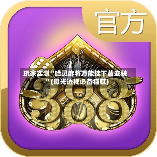 玩家实测“哈灵麻将万能挂下载安装”(曝光透视必备猫腻)