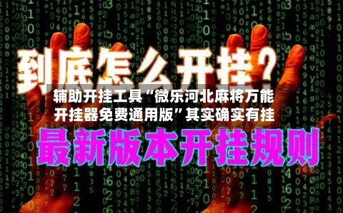 辅助开挂工具“微乐河北麻将万能开挂器免费通用版”其实确实有挂