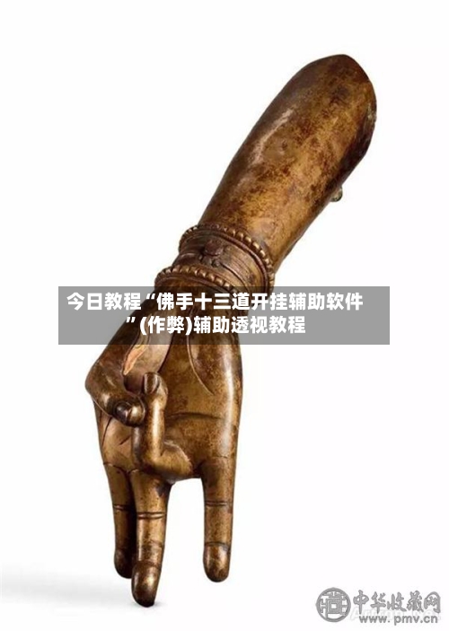今日教程“佛手十三道开挂辅助软件”(作弊)辅助透视教程