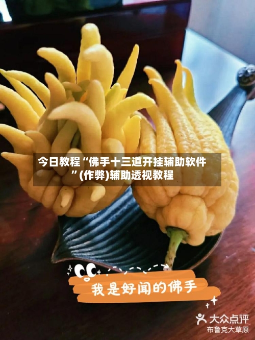 今日教程“佛手十三道开挂辅助软件	”(作弊)辅助透视教程-第2张图片