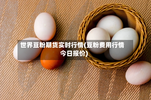 世界豆粉期货实时行情(豆粉费用行情今日报价)-第2张图片