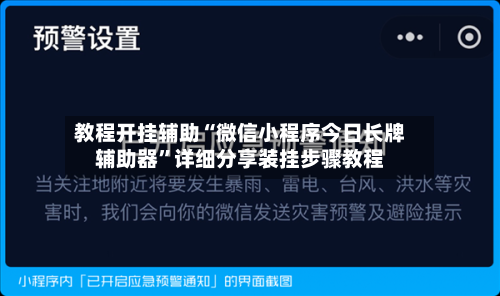 教程开挂辅助“微信小程序今日长牌辅助器”详细分享装挂步骤教程-第2张图片