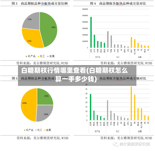 白糖期权行情哪里查看(白糖期权怎么算一手多少钱)