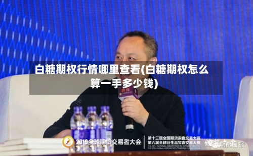 白糖期权行情哪里查看(白糖期权怎么算一手多少钱)-第2张图片