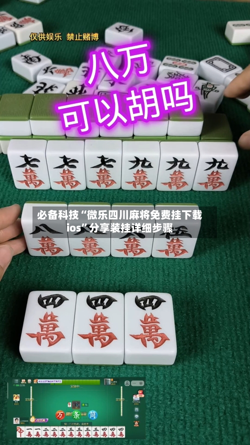 必备科技“微乐四川麻将免费挂下载ios”分享装挂详细步骤-第2张图片