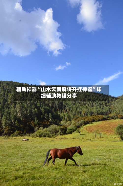 辅助神器“山水云南麻将开挂神器”详细辅助教程分享-第2张图片