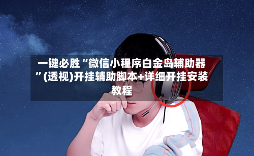 一键必胜“微信小程序白金岛辅助器”(透视)开挂辅助脚本+详细开挂安装教程-第2张图片