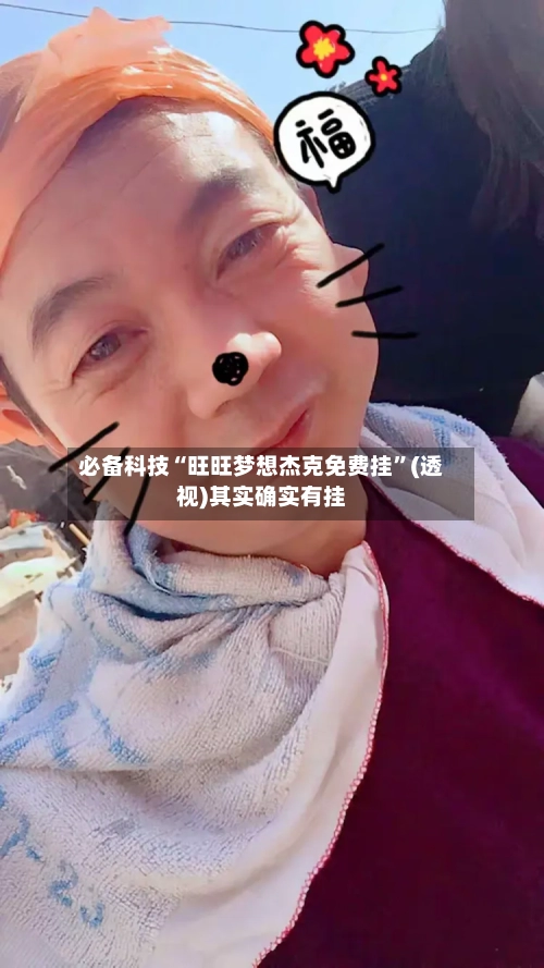 必备科技“旺旺梦想杰克免费挂”(透视)其实确实有挂-第2张图片