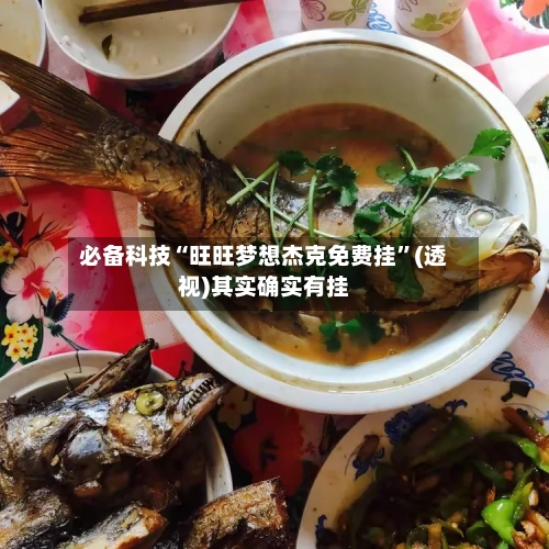 必备科技“旺旺梦想杰克免费挂”(透视)其实确实有挂-第3张图片