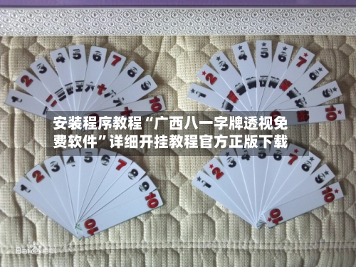 安装程序教程“广西八一字牌透视免费软件”详细开挂教程官方正版下载