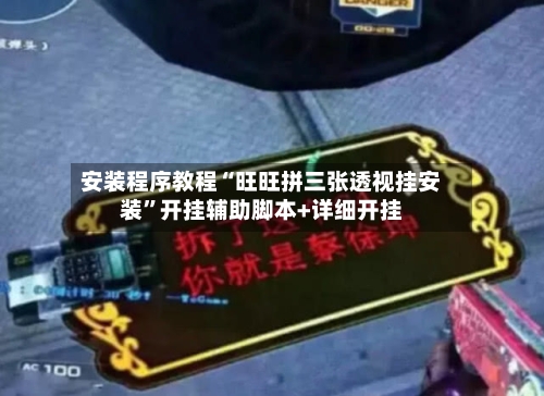 安装程序教程“旺旺拼三张透视挂安装	”开挂辅助脚本+详细开挂-第2张图片