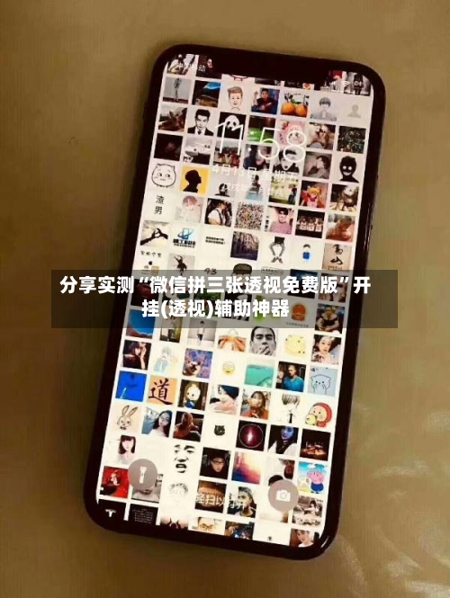 分享实测“微信拼三张透视免费版”开挂(透视)辅助神器-第3张图片