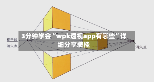 3分钟学会“wpk透视app有哪些”详细分享装挂-第2张图片