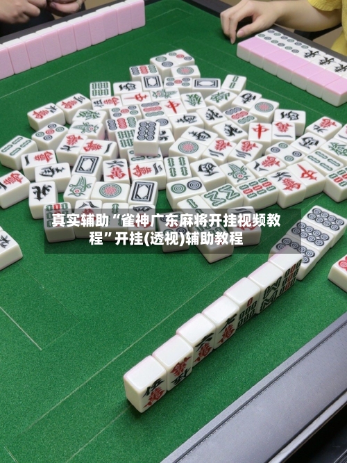 真实辅助“雀神广东麻将开挂视频教程”开挂(透视)辅助教程-第3张图片