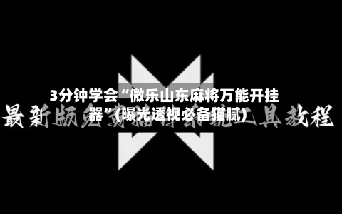 3分钟学会“微乐山东麻将万能开挂器”(曝光透视必备猫腻)