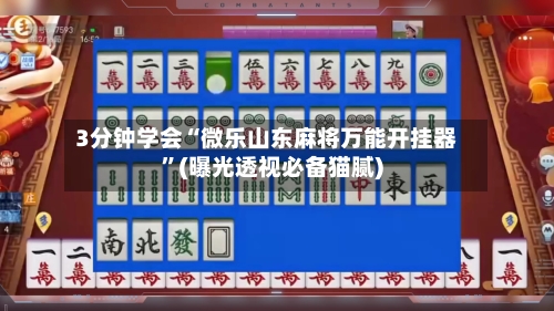3分钟学会“微乐山东麻将万能开挂器	”(曝光透视必备猫腻)-第3张图片