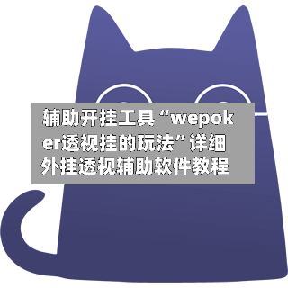 辅助开挂工具“wepoker透视挂的玩法	”详细外挂透视辅助软件教程-第2张图片