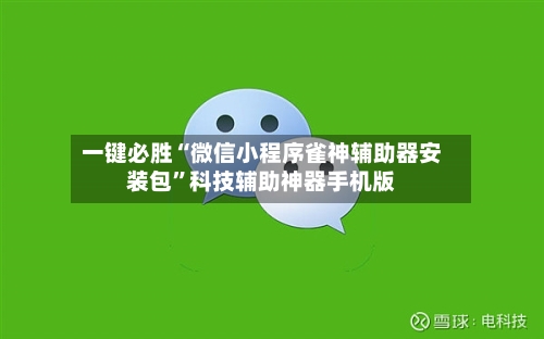 一键必胜“微信小程序雀神辅助器安装包	”科技辅助神器手机版-第2张图片