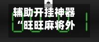 辅助开挂神器“旺旺麻将外卦神器下载”详细分享装挂步骤教程