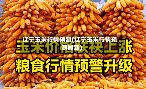 辽宁玉米行情预测(辽宁玉米行情预测最新)-第2张图片