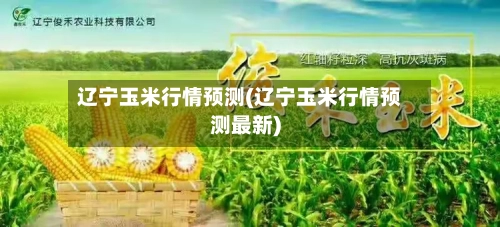 辽宁玉米行情预测(辽宁玉米行情预测最新)
