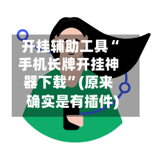 开挂辅助工具“手机长牌开挂神器下载	”(原来确实是有插件)-第2张图片