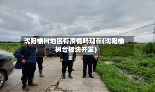 沈阳榆树地区有疫情吗现在(沈阳榆树台板块开发)