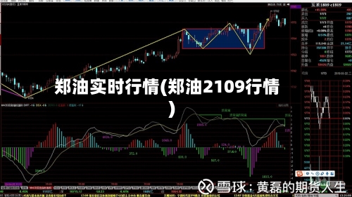 郑油实时行情(郑油2109行情)