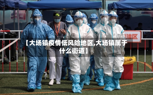 【大场镇疫情低风险地区,大场镇属于什么街道】-第2张图片