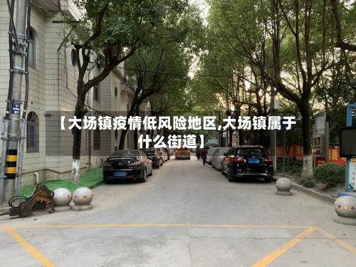 【大场镇疫情低风险地区,大场镇属于什么街道】-第3张图片