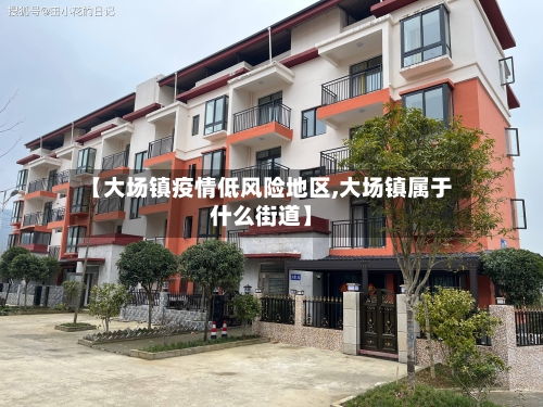 【大场镇疫情低风险地区,大场镇属于什么街道】