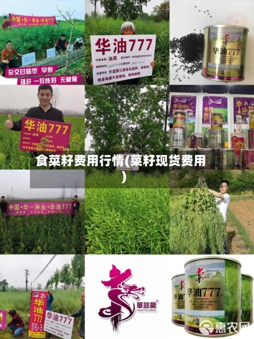 食菜籽费用行情(菜籽现货费用)