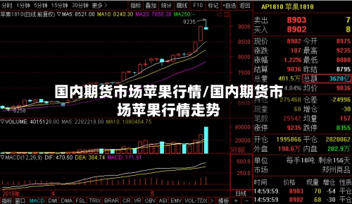 国内期货市场苹果行情/国内期货市场苹果行情走势-第2张图片