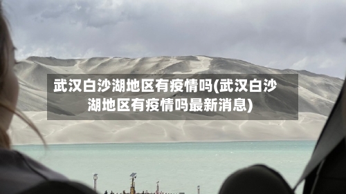 武汉白沙湖地区有疫情吗(武汉白沙湖地区有疫情吗最新消息)-第3张图片