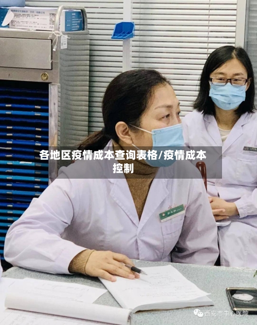 各地区疫情成本查询表格/疫情成本控制-第2张图片