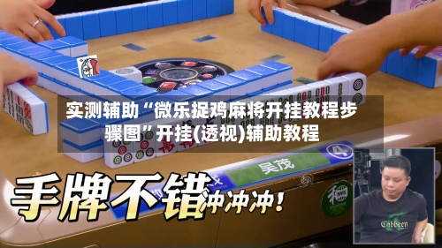 实测辅助“微乐捉鸡麻将开挂教程步骤图”开挂(透视)辅助教程-第3张图片