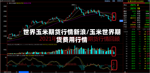 世界玉米期货行情新浪/玉米世界期货费用行情