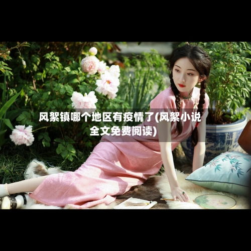 风絮镇哪个地区有疫情了(风絮小说全文免费阅读)-第2张图片
