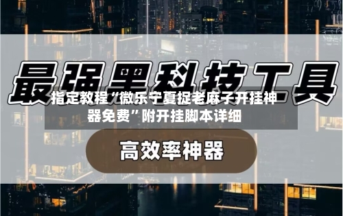 指定教程“微乐宁夏捉老麻子开挂神器免费	”附开挂脚本详细-第3张图片