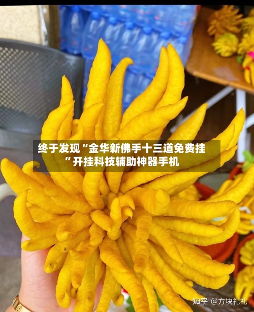 终于发现“金华新佛手十三道免费挂	”开挂科技辅助神器手机-第2张图片
