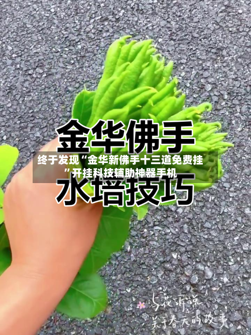 终于发现“金华新佛手十三道免费挂”开挂科技辅助神器手机