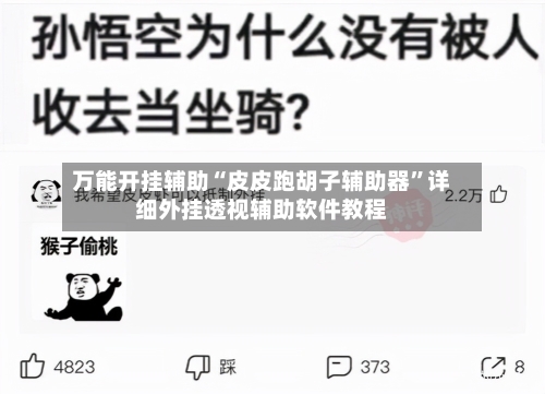 万能开挂辅助“皮皮跑胡子辅助器”详细外挂透视辅助软件教程-第2张图片