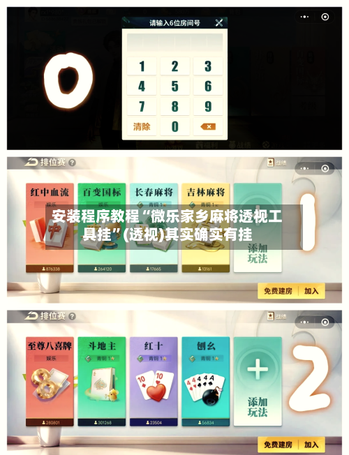 安装程序教程“微乐家乡麻将透视工具挂”(透视)其实确实有挂