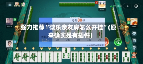 强力推荐“微乐亲友房怎么开挂”(原来确实是有插件)