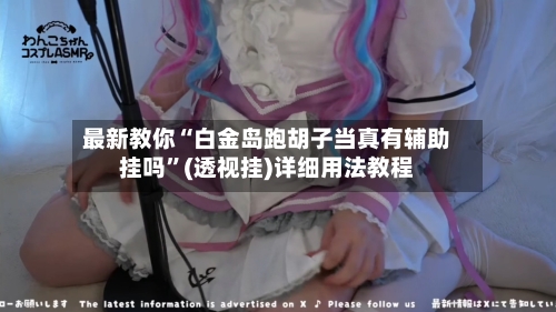 最新教你“白金岛跑胡子当真有辅助挂吗”(透视挂)详细用法教程-第3张图片