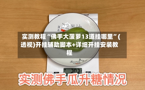 实测教程“佛手大菠萝13道挂哪里”(透视)开挂辅助脚本+详细开挂安装教程