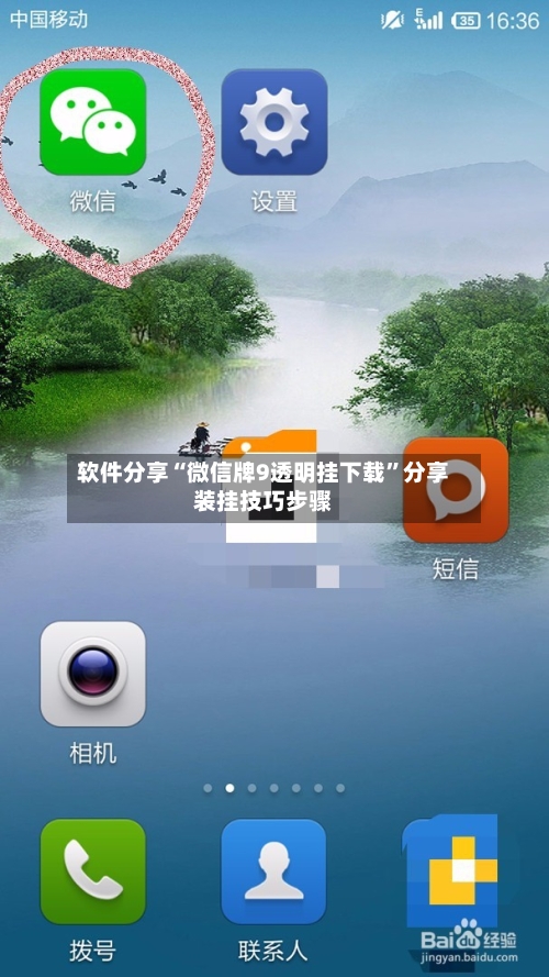 软件分享“微信牌9透明挂下载”分享装挂技巧步骤-第2张图片