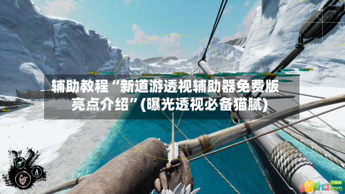 辅助教程“新道游透视辅助器免费版亮点介绍”(曝光透视必备猫腻)-第3张图片